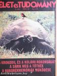 Élet és Tudomány 1982. (nem teljes évfolyam)