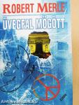 Üvegfal mögött