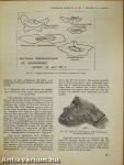 Principaux Aspects du Développement de la Palynologie du Houiller