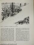 Paleoecology of the Lower Part of the Chinle Formation in the Petrified Forest