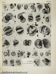 Plant microfossils from Kootenay coal-measures strata of British Columbia