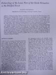 Paleoecology of the Lower Part of the Chinle Formation in the Petrified Forest