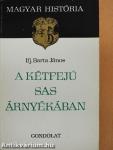 A kétfejű sas árnyékában