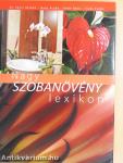 Nagy szobanövény lexikon