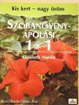 Szobanövény-ápolási 1X1