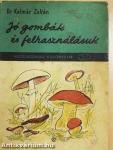 Jó gombák és felhasználásuk