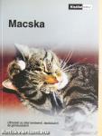 Macska