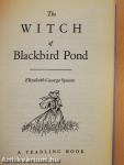 The Witch of Blackbird Pond