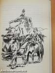 Insel der Wildpferde