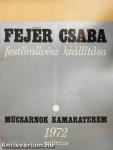 Fejér Csaba festőművész kiállítása