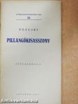 Puccini: Pillangókisasszony