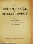 Szőlő metszése