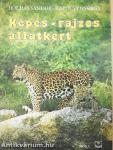 Képes-rajzos állatkert