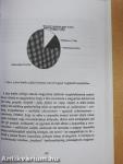Összetett szavak összehasonlító szerkezeti vizsgálata a finn és a magyar nyelvben - CD-vel