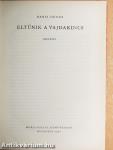 Eltűnik a vajdakincs