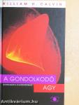 A gondolkodó agy