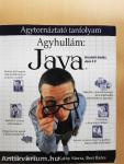 Agyhullám: Java