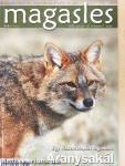 Magasles 2008. január