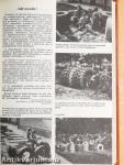 Óvodai nevelés 1981. január-december