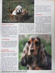 Nemzetközi Kutya Magazin 1998. december