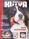 Nemzetközi Kutya Magazin 2003. február