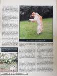 Nemzetközi Kutya Magazin 2003. április