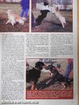 Nemzetközi Kutya Magazin 2003. január
