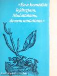 »Én a komédiát lejátsztam, Mulattattam, de nem mulattam.«