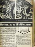 Delta 1969. január-december