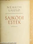 Sajkódi esték