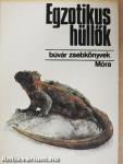 Egzotikus hüllők