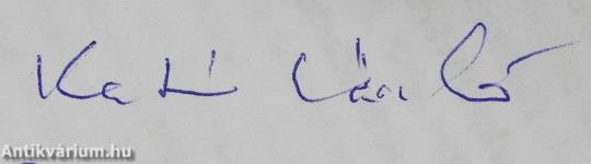 Eltékozolt szerelem (dedikált példány)