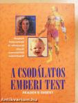 A csodálatos emberi test