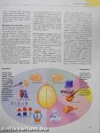 A csodálatos emberi test