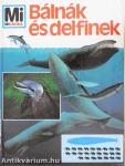 Bálnák és delfinek