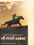 A múlt sebei