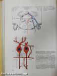 A klinikai neurologia alapjai