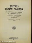 Tüzetes román alaktan