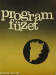 Programfüzet