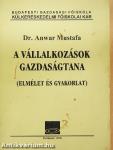 A vállalkozások gazdaságtana