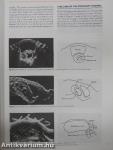 Fundamentals of Obstetrics and Gynaecology