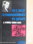 Kromoszómák és gének