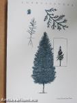 Grow Your Own Trees