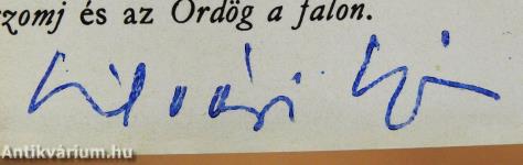 Ködlámpa (aláírt példány)