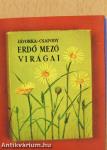 A "szép magyar könyv" huszonöt éve (minikönyv) (számozott)