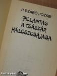 Pillantás a császár hálószobájába