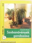 Szobanövények gondozása