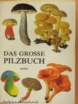 Das grosse Pilzbuch