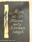 Mint az égő fáklya, mely setétben lángol