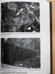 The Pruning of Trees, Shrubs and Conifers
